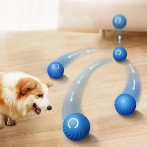 Balle Interactive Rechargeable pour animaux