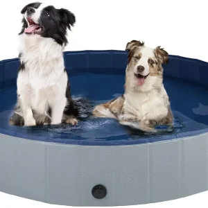 Piscine pour Chien Portable