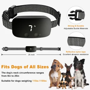 Collier anti aboiement chien